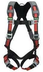 Safety Harness