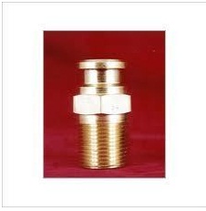 Brass Coupling
