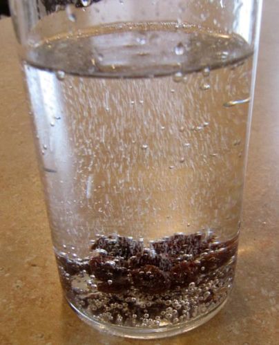 Carbon Dioxide (liquid)