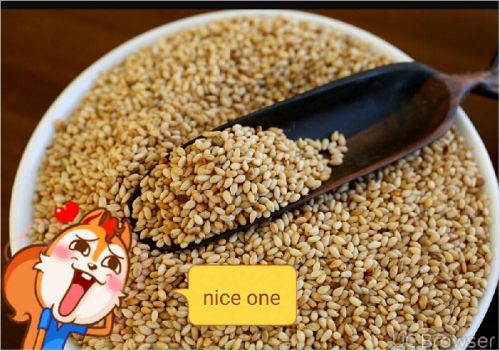 Sesame Seeds