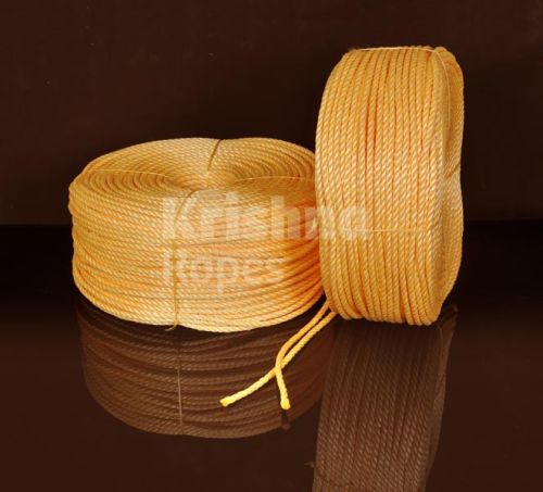 PP Danline Rope