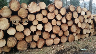 Pine Logs From Lithuania (pinus Sylvestris)