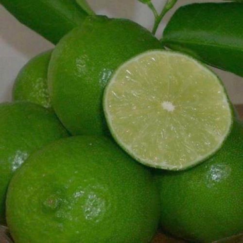 Nirman Agro Good Green Lemon, For Food, Grade : A