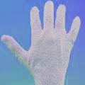 Cotton Gloves