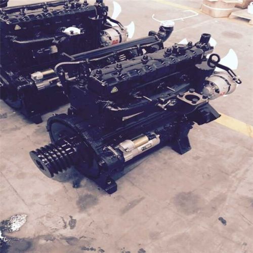Jiangdong 4 Cylinder Tractor Diesel Engine, Cold Style : Water-cooled