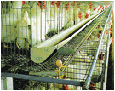 Polymer Mesh and Nets