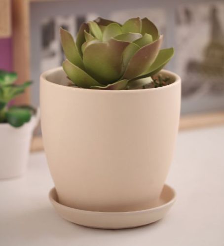 Ceramic Planter