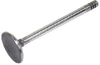 Exhaust Valve