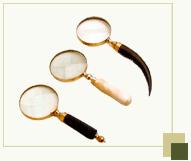 Magnifying Glass