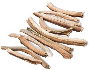 Indian Rustica Stems