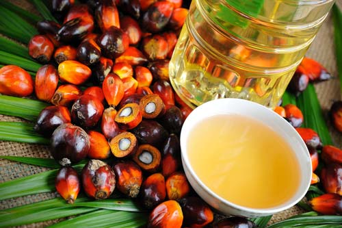 Palm Oil, Production Capacity : 50000 MT