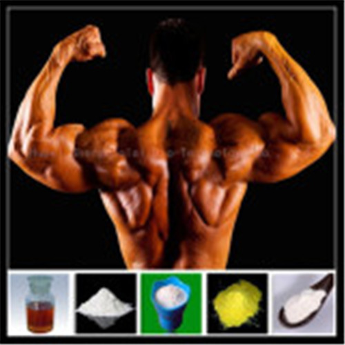 Dehydroisoandrosterone