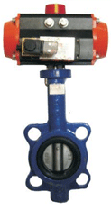 Actuated Butterfly Valve, Size : 40MM To 500 MM