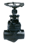Forged Steel Globe Valve.