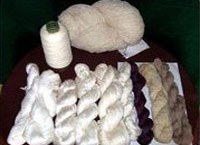 NOIL SPUN SILK YARN