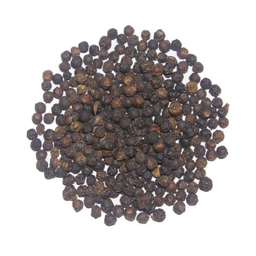 Black Pepper Seeds