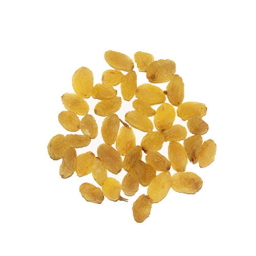 Yellow Raisins