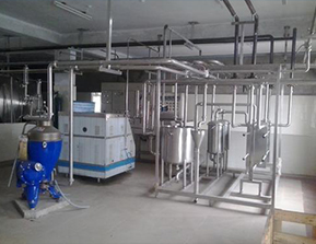 Milk Dairy Plants