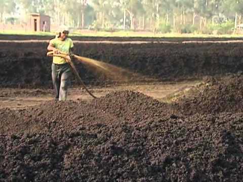 Sugarcane Press Mud, For Agriculture