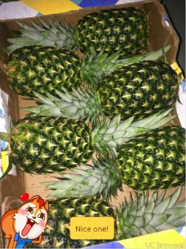 Fresh Pineapple, For Food, Juice