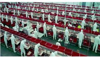 Assembly Line Belt Conveyor