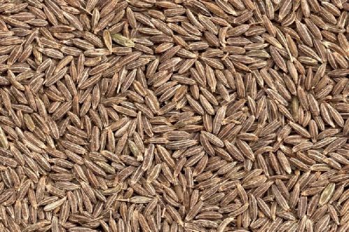 Sandilya Cumin Seeds, Packaging Type : 30, 40, 50 Kg Bag