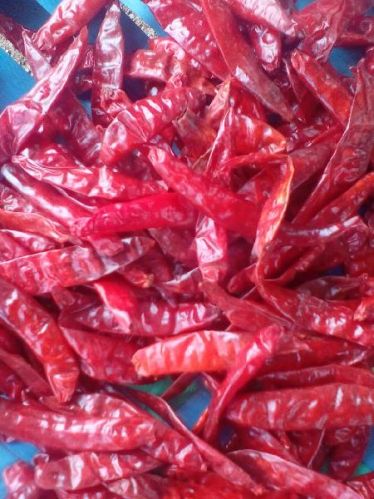 Sandilya Round Dried Red Chilli, Certification : A Grade