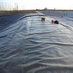 HDPE Geomembrane Sheet