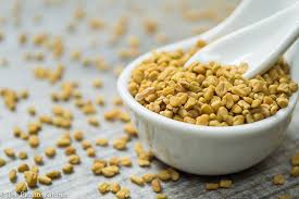 Organic Fenugreek Seeds, Shelf Life : 1year