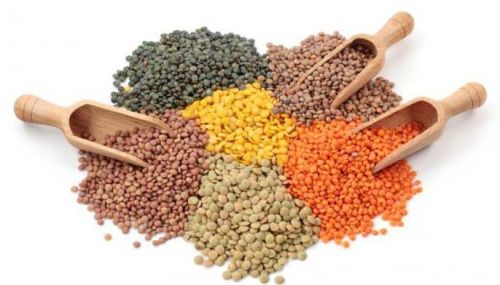 Common Indian Pulses, For Cooking, Packaging Type : Gunny Bag, Plastic Bag, Plastic Packet