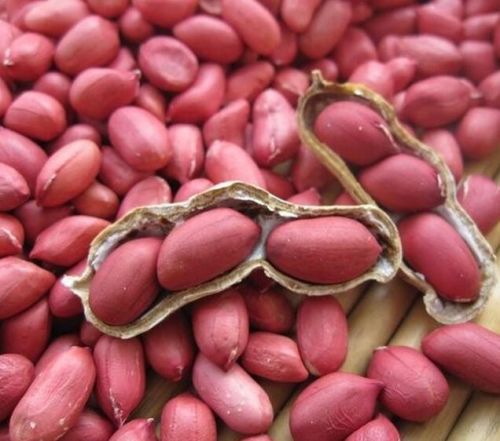 Non Pollution Red Skin Peanuts From Northeast China