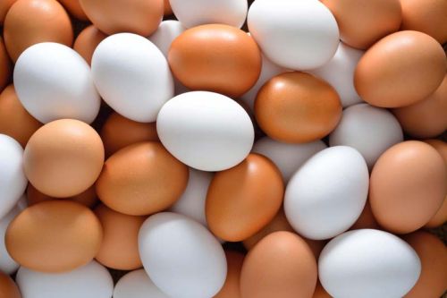 Poultry Eggs