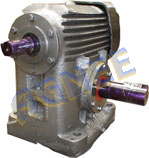 Worm Gearbox Motor