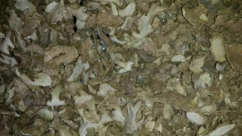 Dry split ginger, Brand Name : Intervent Nig. Ltd