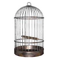 Round Bird Cages, For Easy Opening, Fully Adjustable, Color : Grey