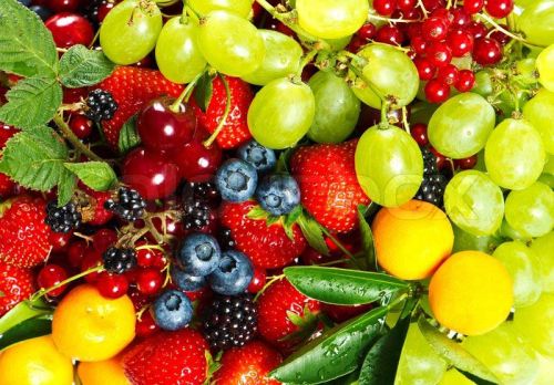 Fresh fruits, Shelf Life : 3-5 Days