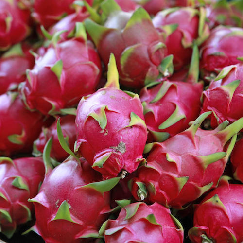 Fresh Dragon Fruit