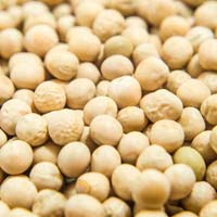 Yellow Peas, Packaging Type : P/P Bags 20/25 kg
