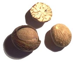 Nutmeg Spices