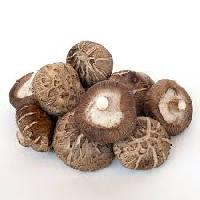 Shiitake Mushroom, Color : Brown