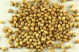 Coriander seeds, Grade Standard : Food Grade