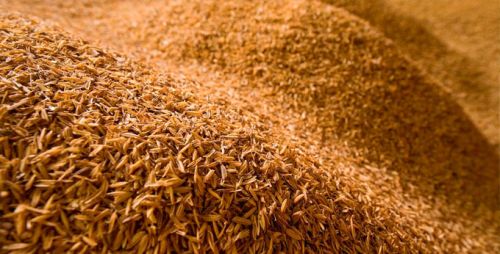 Organic Rice Husk, Feature : High In Protein