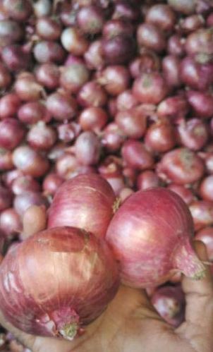 Industrial Safety Glove