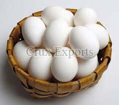 White Chicken Eggs