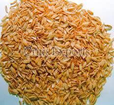 Rice Husk