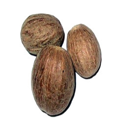 Nutmeg Oleoresin