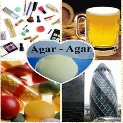 Chinese Best Supplier Agar