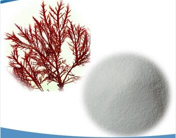 Natural Food Additives Carrageenan