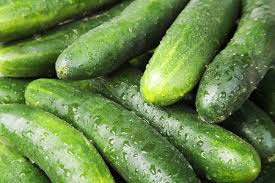 Fresh Cucumber,fresh Cucumber, Packaging Type : As Buyer Requirement