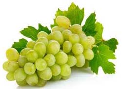 Organic Fresh Grapes, Shelf Life : 7-10days